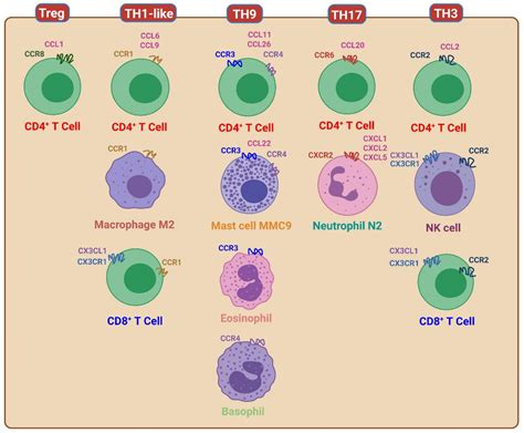 Interplay of Chemokines Receptors, Toll-like Receptors, and Host ...