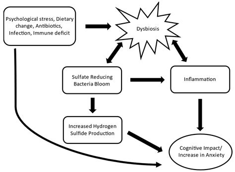 Magnesium Oxide Reduces Anxiety-like Behavior in Mice by Inhibiting ...