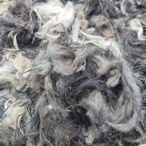 Goat Wool - Continental Exchange