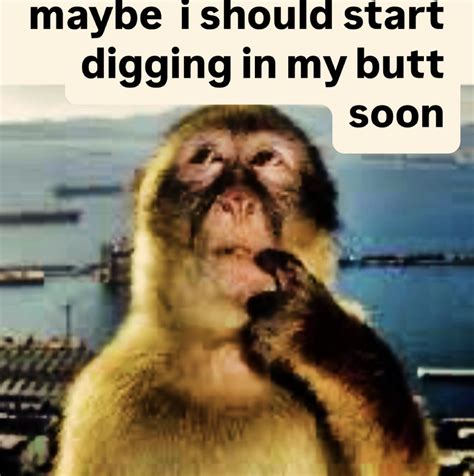 June 16th, 2025 post by @spacecowboyryan | Thinking Monkey | Know Your Meme