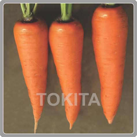 Carrot | TIPL