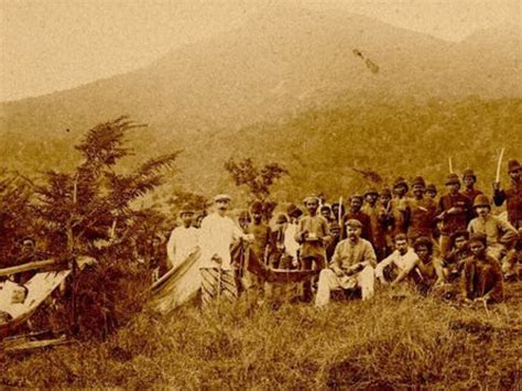 Lifepatch. The Tale of Tiger and Lion | Meer