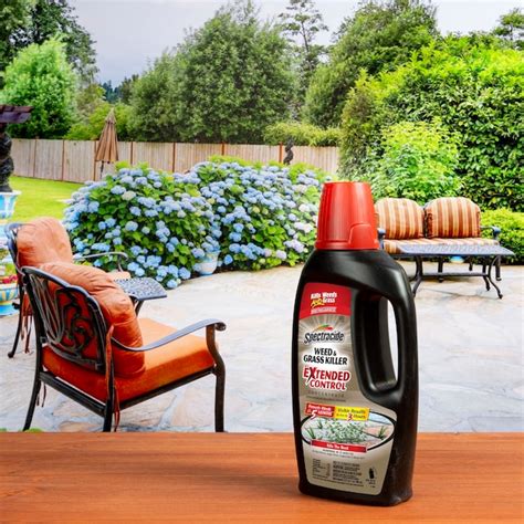 Spectracide Extended Control 32-fl oz Concentrated Weed and Grass ...