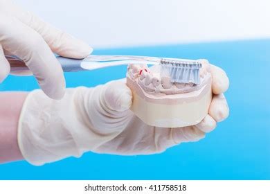 Molar Solution 的图像结果