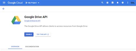 Google Drive API Java 的图像结果