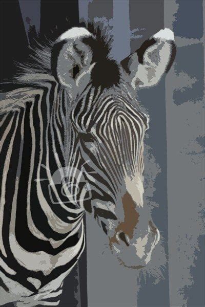Image result for Zebra Cut Out