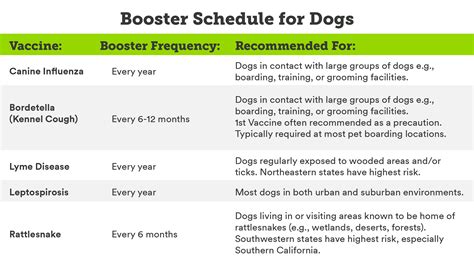 What Shots Do Dogs Get Every Year