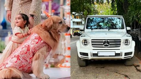 Mukesh ambani pet dog happy owns a luxury Mercedes benz g400 luxury suv ...