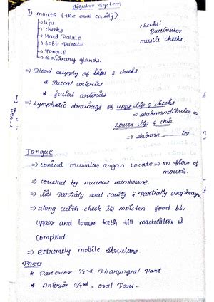 Respiratory system - RESPIRATORY SYSTEM nasal cavity URT Pharijox ...