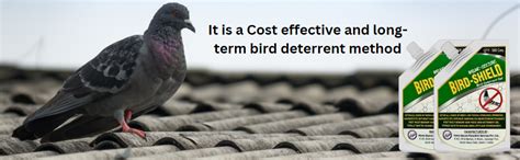 Home-Secure Bird-Shield Bird Repellent For Pigeon Control | Non-Toxic ...