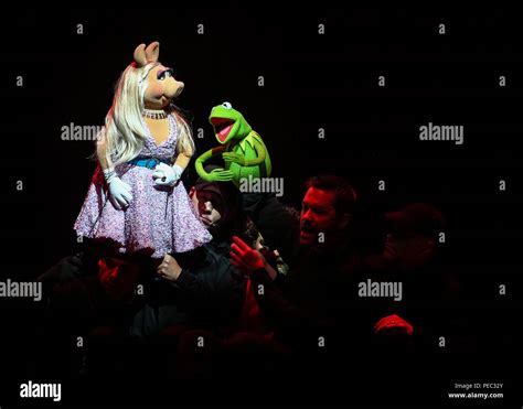 Image result for The Muppets Take the O2 Highlights