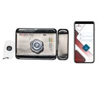 Robsync Electronic Door Lock with Inbuilt WiFi Controller Main Gate ...