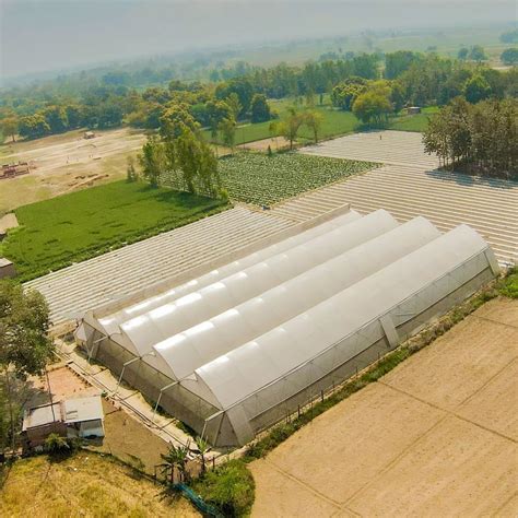 Image result for Poly House Profile Spring