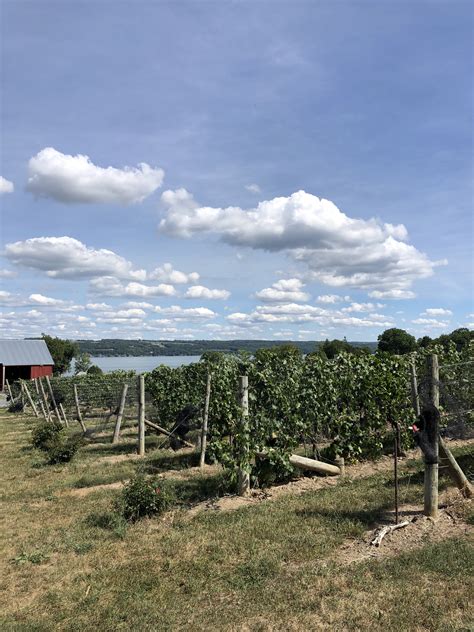 Cayuga Lake Wine Tour Overview - Emma Dozen Grapes