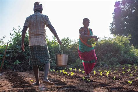 Can micro-automatic weather stations enhance lives and livelihoods of ...