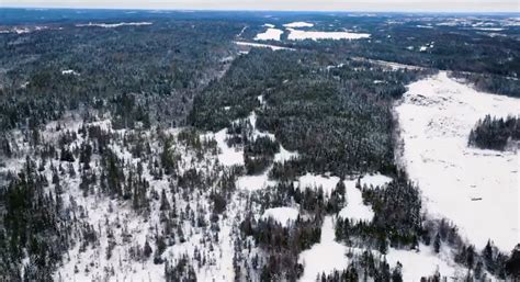 More high grades at New Found Gold’s Queensway project in Newfoundland - MINING.COM