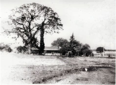 Beautiful Farm Life in Loma Rica, California
