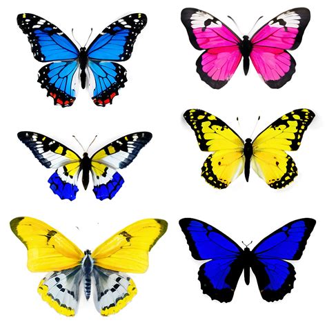 Image result for Spring Butterflies PNG