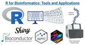 Image result for R Programming Language for Bioinformatics