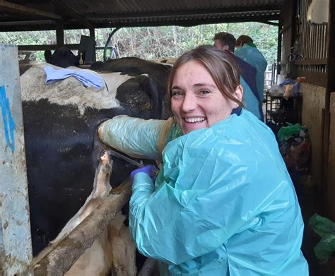 What Is Artificial Insemination Training at Madeleine Seitz blog