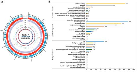 Discovery of Novel Genes Encoding Antimicrobial Peptides from the ...
