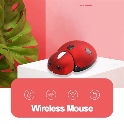 Image result for Ladybug Computer Mouse