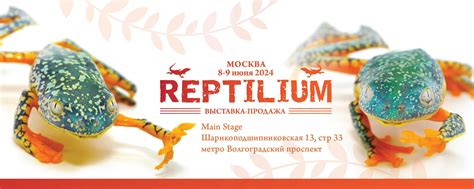 Выставка-продажа Рептилиум 2024 | ВКонтакте