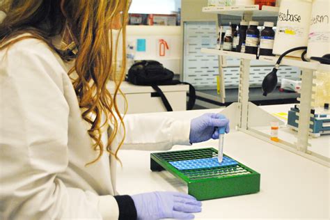 Image result for Compounding