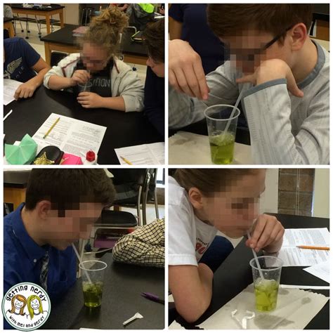 Tutorials for Cells 的图像结果