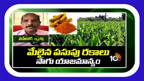 Turmeric Crop Cultivation : మేలైన పసుపు రకాలు.. సాగు యాజమాన్యం ...