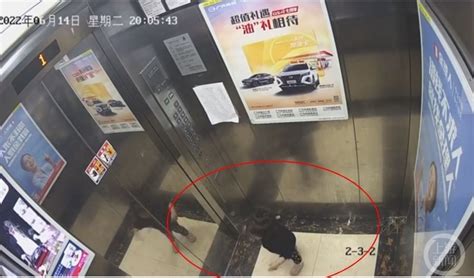 杭州21个月女童被保姆遗留电梯致坠楼身亡，警方以过失致人死亡刑事立案_腾讯新闻