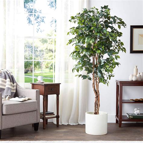 Artificial Plants For Living Room India | Cabinets Matttroy