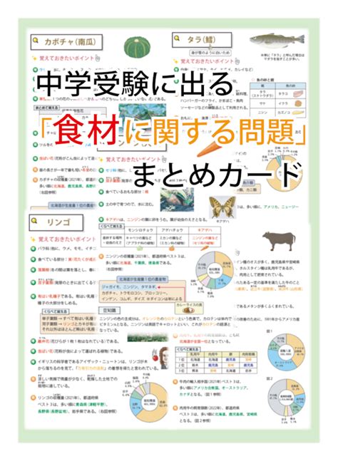 中学受験・社会(歴史編) 頻出用語・ポイントにしぼったまとめカード | 自宅でできる受験対策ショップ ワカルー Wakaru-！
