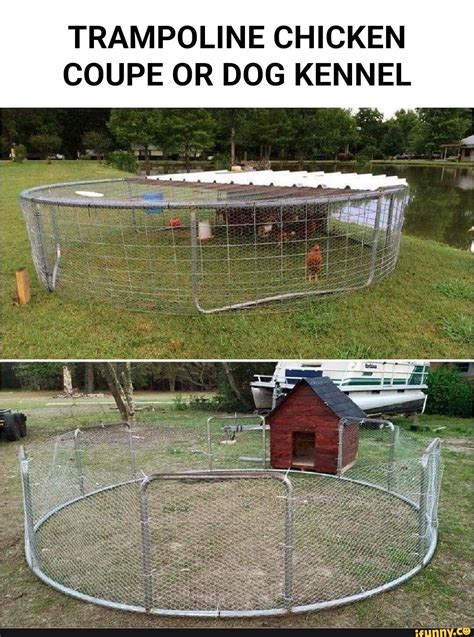 TRAMPOLINE CHICKEN COUPE OR DOG KENNEL - iFunny | Portable chicken coop ...