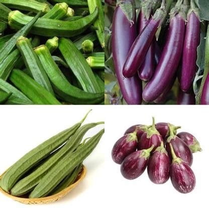 Lysithea Ladies finger, Long purple brinjal, Ridge gourd and Round ...