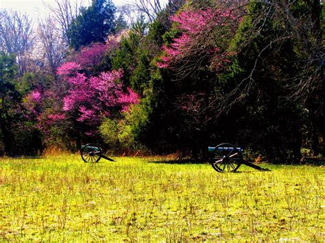 Visit Murfreesboro: Best of Murfreesboro Tourism | Expedia Travel Guide