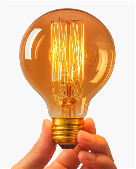 Bulbs & Accessories – Homesake.in