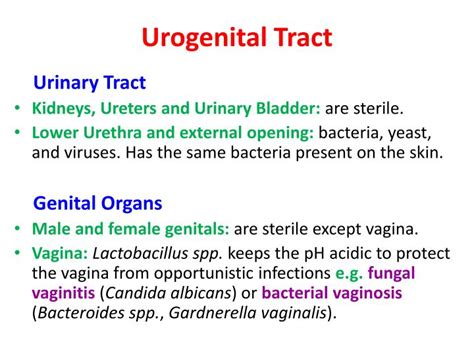 Mixed Urogenital Flora In Urine Means at Roxanne Bell blog