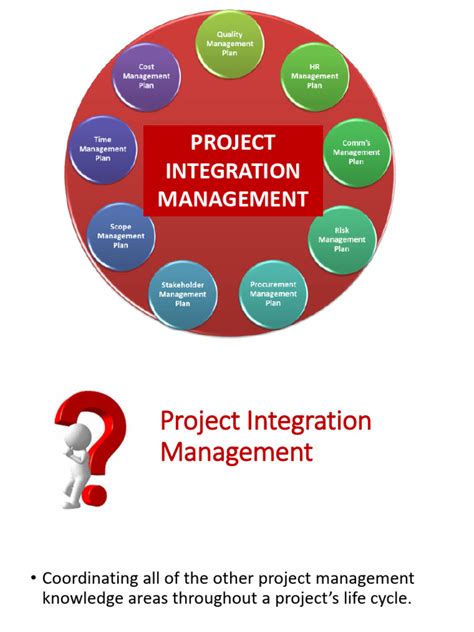 Project Integration Manager 的图像结果