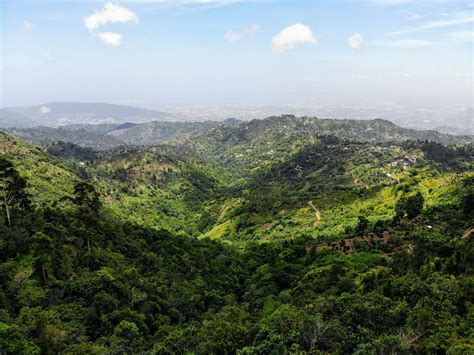Hiking in the Blue Mountains of Jamaica | #ExperienceTransat