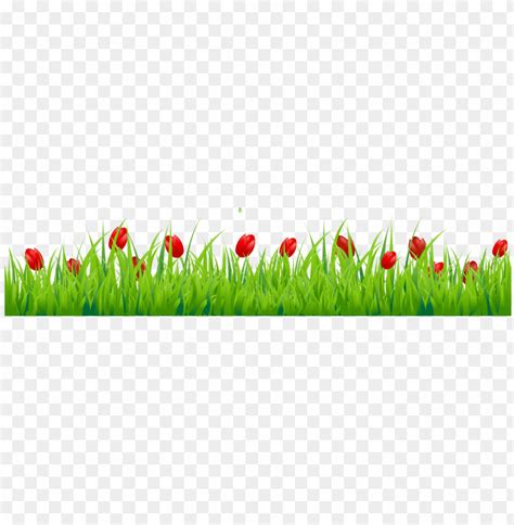 Image result for Spring Texture PNG