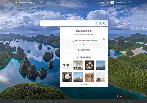 Bing Image Search 的图像结果