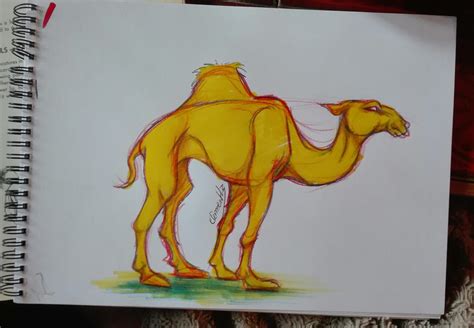 Easy Camel Drawing How To Draw A Camel For Kids (Animals For Kids)