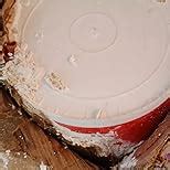 Berger Bison Acrylic Distemper (5 Kg, White) : Amazon.in: Home Improvement