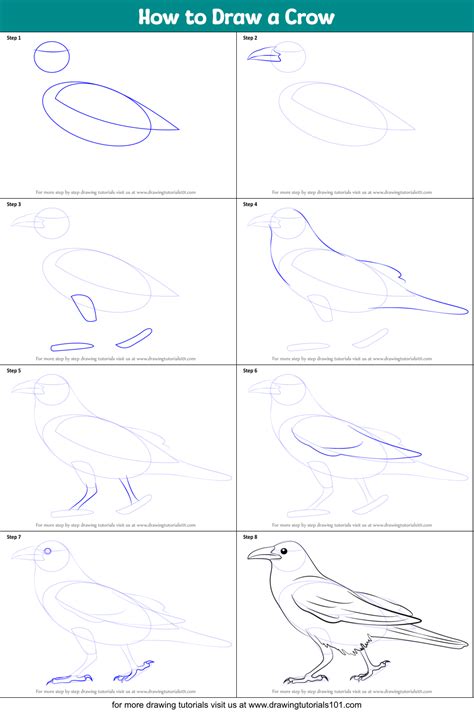 Image result for Crow Drawing Tutorial
