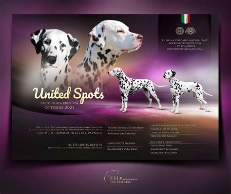 EHA GRAPHICS - DESIGN FOR BREEDERS AND STUD OWNERS