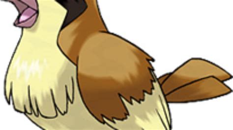 Pidgey Evolution Chart Pidgey Evolution Pidgey Pixel Art Free