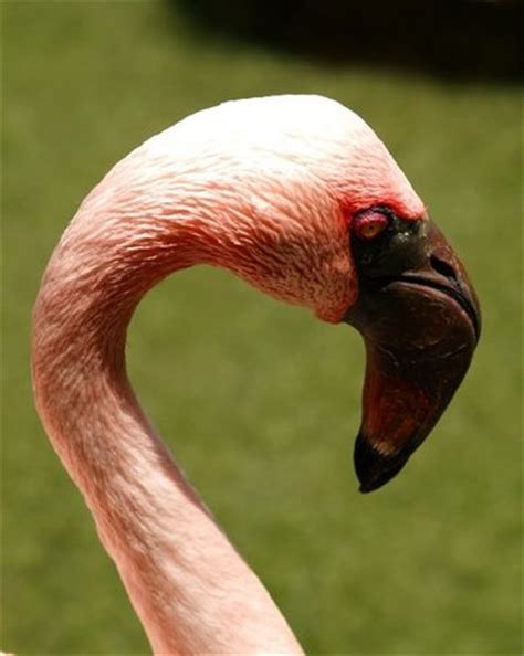 Sarasota Pictures - Traveller Photos of Sarasota, Southwest Gulf Coast ...