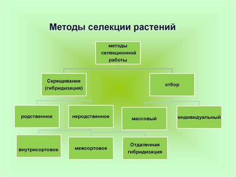 Способы улучшения сельскохозяйственных растений и животных с помощью ...