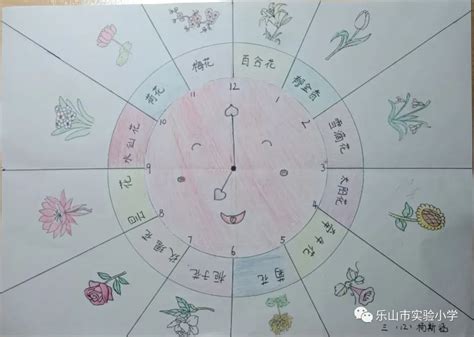 24小时开的花做花钟简笔画 24小时开的花做花钟图片和名字 | 抖兔教育